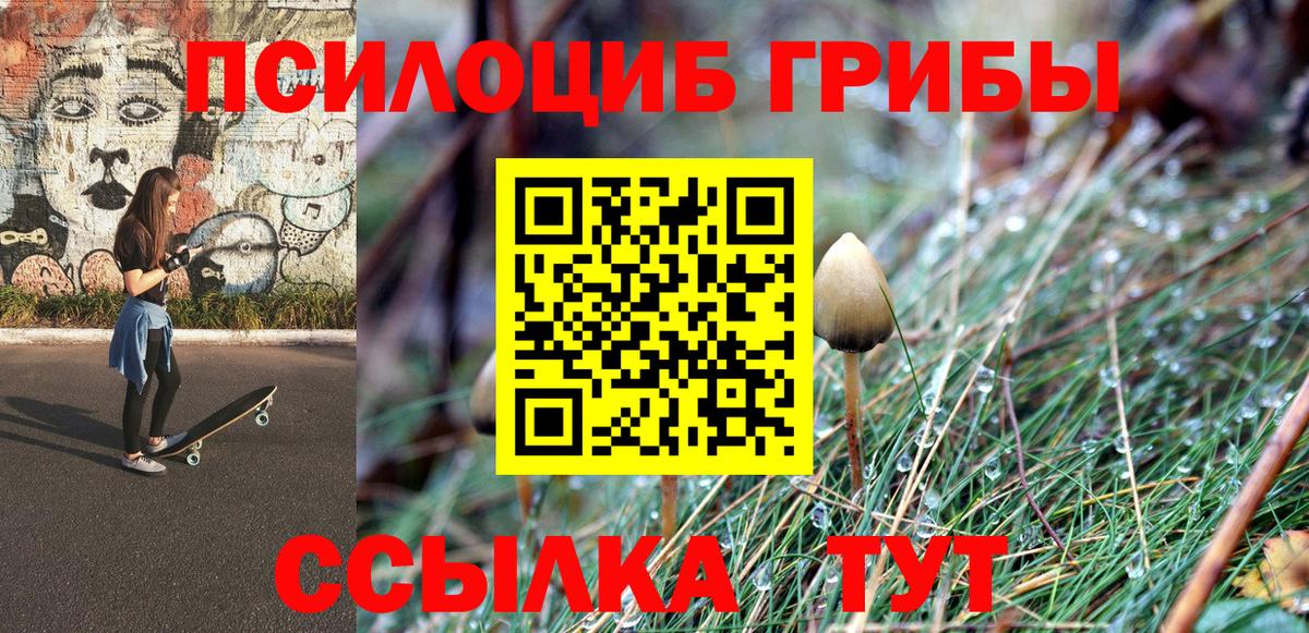 Среднеуральск  Псилоцибиновые грибы GOLDEN TEACHER  Вход с VPN 